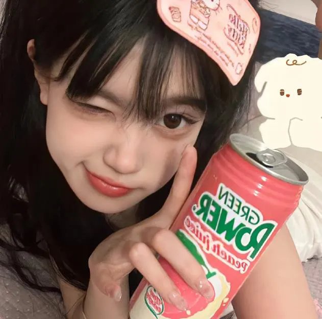 认识狗狗