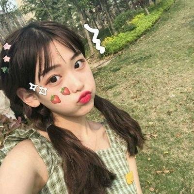 小镇总理