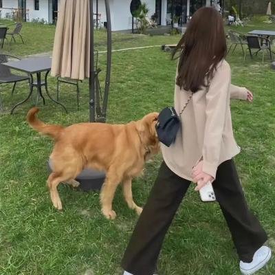 魂魄唔齐粤语